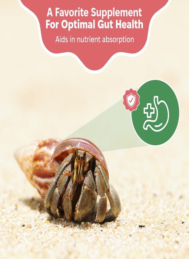 Snout and Shell Organic Pet Hermit Crab Greensand Food Supplement & Worm Castings (Worm Castings) 85 Grams - Image 3